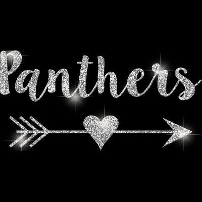 GLT46 SILVER GLITTER Thumbnail